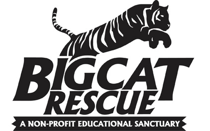 big cat rescue logo